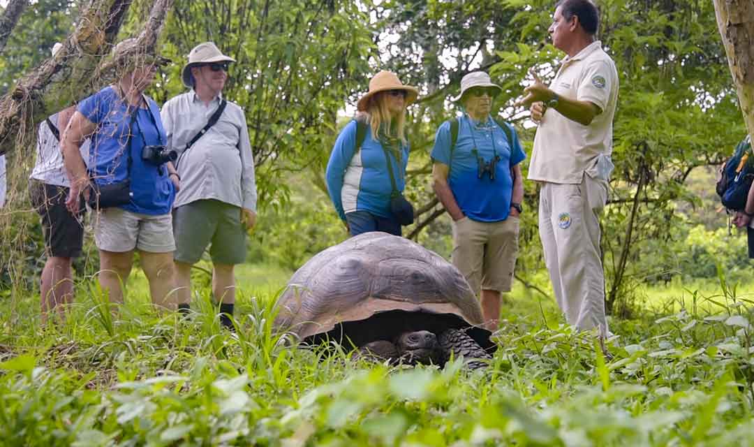 Activities Slide Galaxy Diver II- Galaxy Cruises Cruises