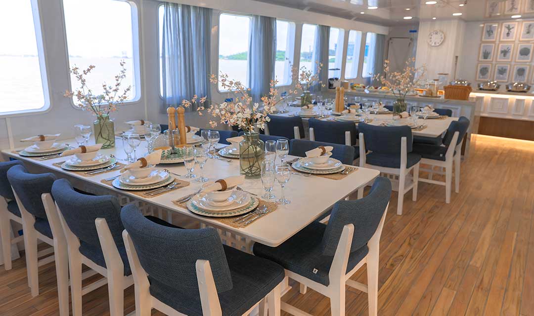 Social Areas Slide Galaxy Diver II- Galaxy Cruises Cruises