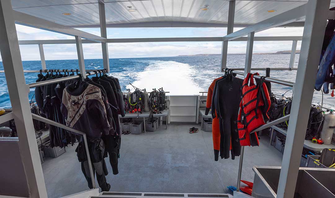 Diving Platform Slides Galaxy Diver II- Galaxy Cruises Cruises