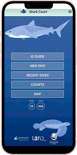 Portada- Galaxy Cruises