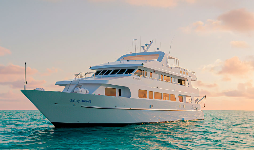 Exterior Slide Galaxy Diver III - Galaxy Cruises