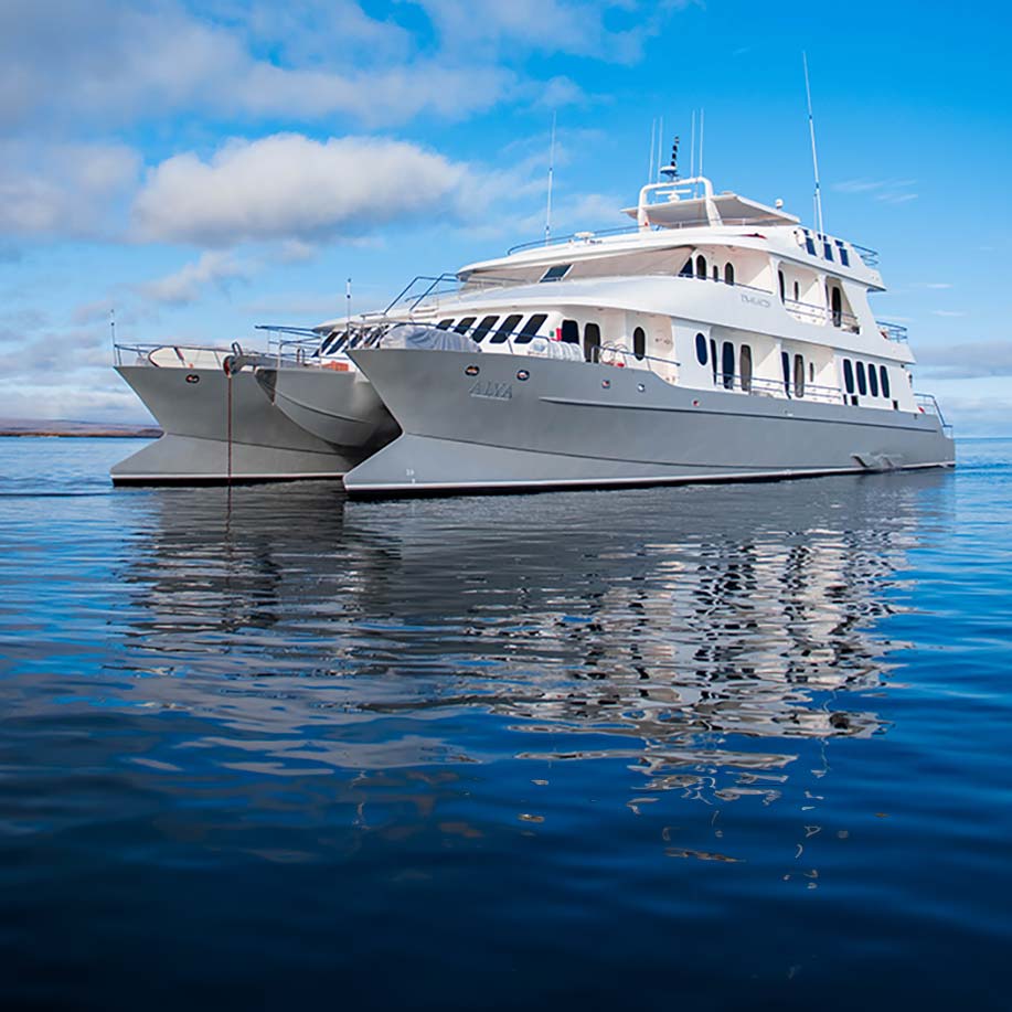 Alya Luxury Catamaran - Galapagos Cruise