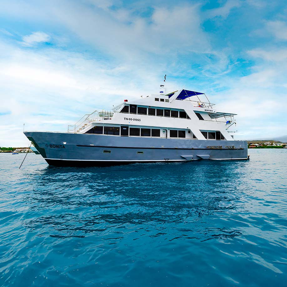 Bonita Yacht - Galapagos Cruise