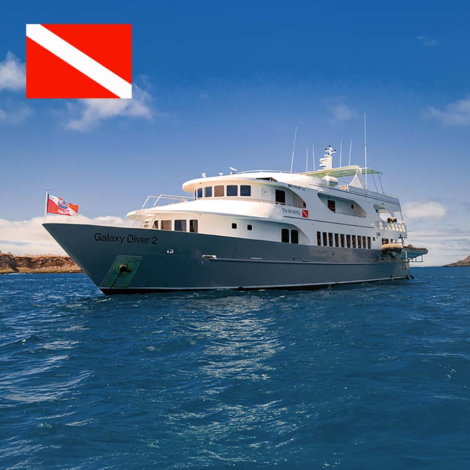 Galaxy Diver 2 - Galapagos Diving Cruise