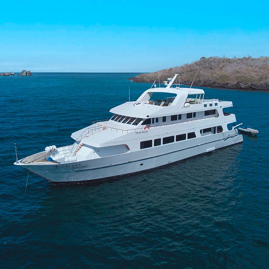 Galaxy Yacht - Galapagos Cruise