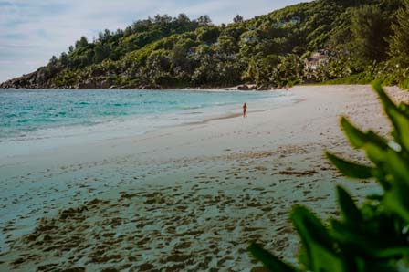 Sirius Luxury Catamaran - Galapagos Cruise